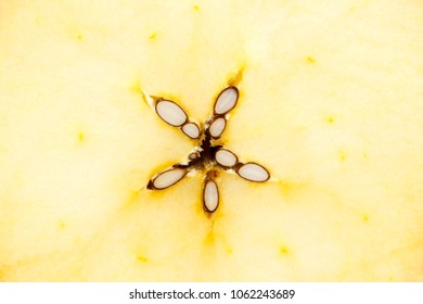 Apple Core Texture Backgrounds Stock Photo 1062243689 | Shutterstock