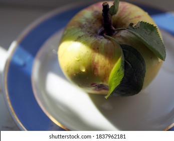 Apple with drops of water and green leaves on the stem lies on a plate