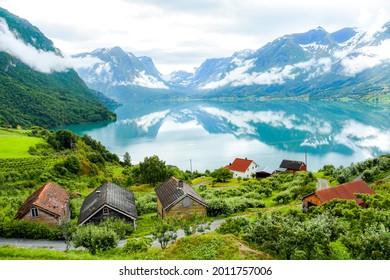 Apple Farm In Norway By The Fjords
