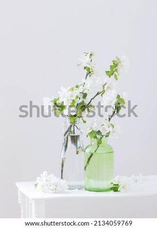 Similar – Cherry blossom branch with butterfly ornaments in glass jar