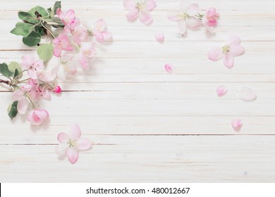 Apple Flowers On Wooden Background