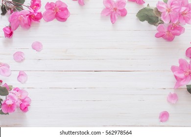 Pink Flowers Background High Res Stock Images Shutterstock