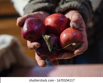 Apple Grower At The Local Market. Organic Farming From Producer To Consumer.