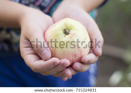 Similar – Image, Stock Photo delicious apples Food