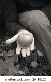 apple in the hands of