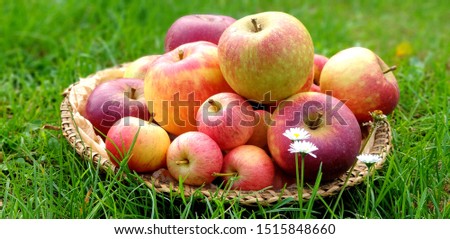 Similar – Image, Stock Photo Ripe apples Fruit Apple