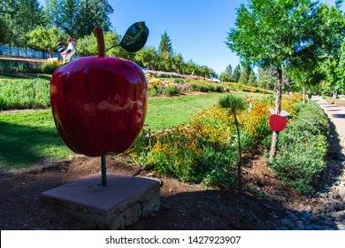 Apple Hill. Placerville Ca. October 7, 2018