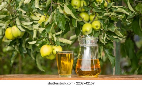 Apple Juice On A Wooden Table In The Garden, Around It Are Apples. Farmer Taking A Jug And Pour Fresh Juice Into Glass From The Apple Orchard. Pouring Apple Juice Into A Glass In A Summer Day Outdoors