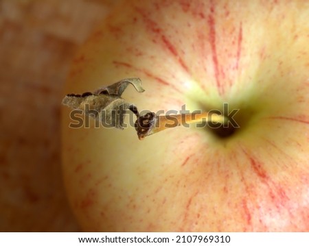 Similar – Image, Stock Photo ripening process Healthy