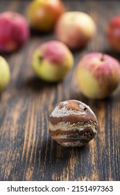 Apple With Mold And Fresh Apples On Wooden Background - Mold Growth And Food Spoilage Concept