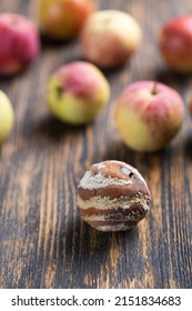 Apple With Mold And Fresh Apples On Wooden Background - Mold Growth And Food Spoilage Concept