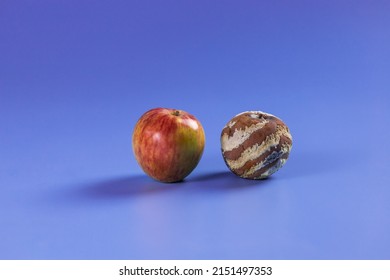 Apple With Mold And Fresh Apple On Violet Background - Mold Growth And Food Spoilage Concept