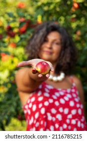 Apple Orchard Woman With Apples Decor Design