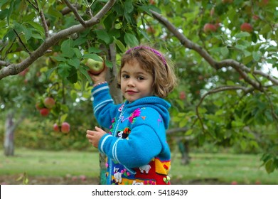 Apple Picking Girl II