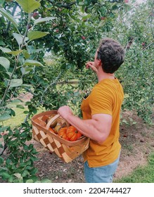 Apple Picking And Pumpkin Picking In The Fall