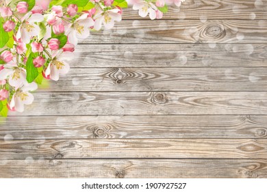 Apple tree blossom on wooden background. Spring floral template