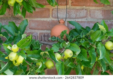 An apple tree grows by a wall, framed by green foliage. A round clay ball hangs decoratively between the branches.