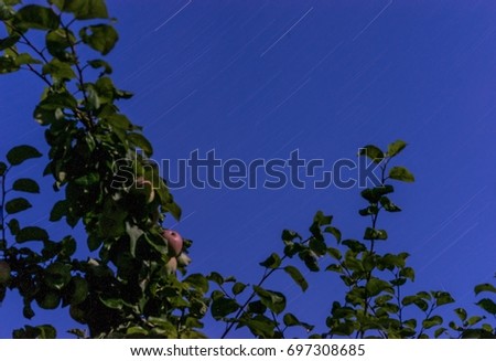 Image, Stock Photo spring freshness