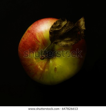 Similar – Image, Stock Photo ripening process Healthy