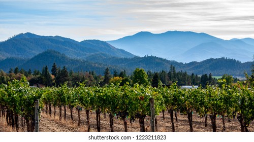 Applegate Valley Winery Near Ashland, Oregon