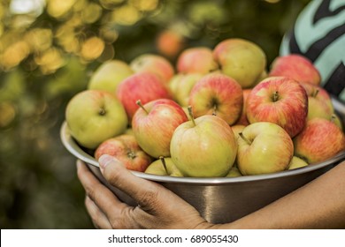 Apples 