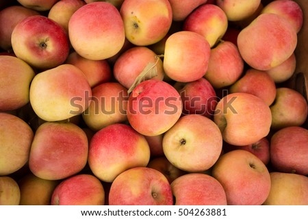 Apples background