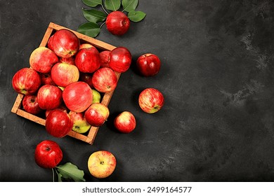 Apples in a basket on a concrete table, thanksgiving background, harvest,Real by RAW,not AI - Powered by Shutterstock