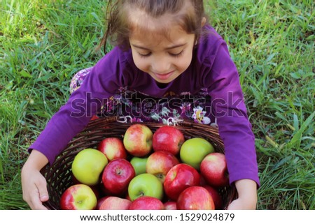 Similar – Image, Stock Photo Children and senior woman putting apples inside of wicker baskets