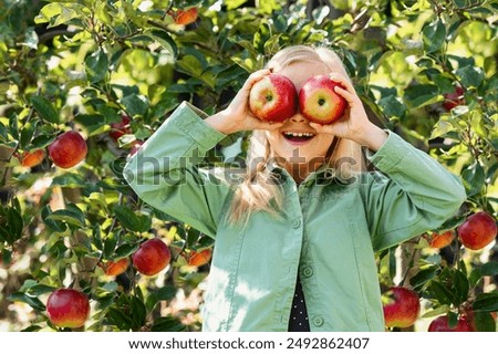 Similar – Foto Bild Ich habe für euch mal einen wunderschönen Strauß Sommerblumen gepflückt. Gräser sind auch mit drin. Ich hoffe, ihr habt keinen Heuschnupfen.