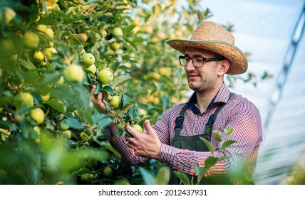 51,249 Apple Farmer Images, Stock Photos & Vectors | Shutterstock