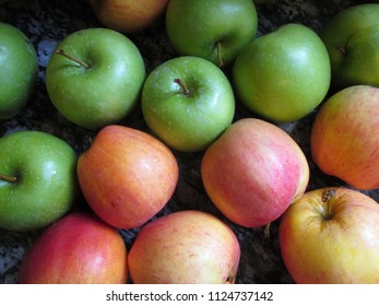 Apples Ready For Applesauce Making