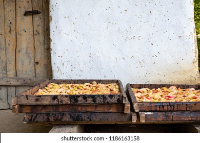 Apples Ready For Dehydration In Old Traditional Dehydrator - Clay House.