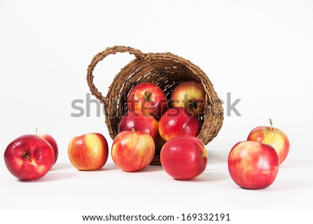 Apples spilled from the bucket photographed on a white background.