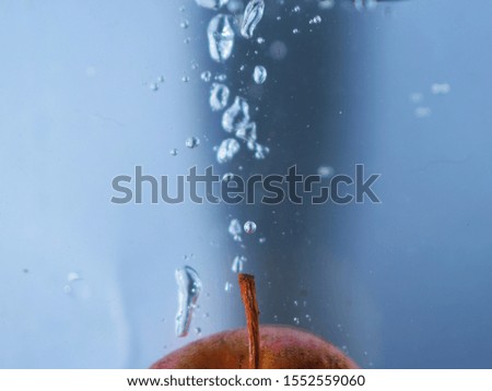 Similar – Image, Stock Photo The two willow catkins