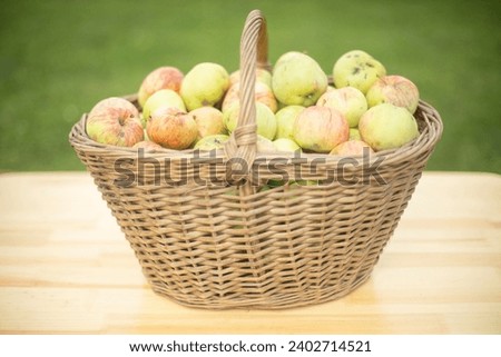 Similar – Image, Stock Photo Fresh apples in the orchard