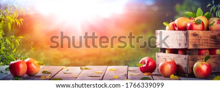 Apples In Wooden Crate On Table At Sunset - Autumn And Harvest Concept