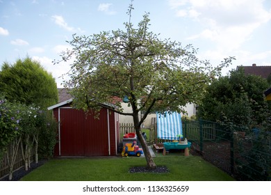 Backyard Apple Tree High Res Stock Images Shutterstock