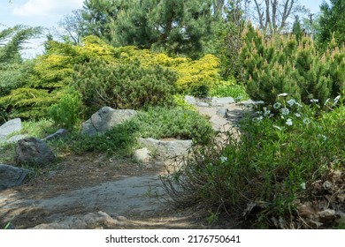 Application natural stone in landscape design. Stone path in garden with bushes trees flowers. Beautiful manicured green plants in gardening. View exterior scenery in public park. Example designers.