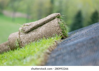 Applying Rolled Green Grass With Erosion Control Mesh On A Slope