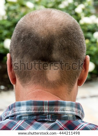 Similar – Image, Stock Photo absorbed in thought