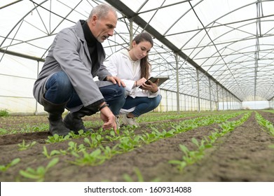 Apprentice in greenhouse learning about organic agriculture