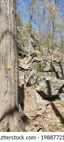 Approach To The Steep Rock Scramble Called 