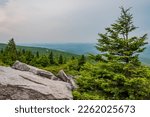 The Approaching Storm, Spruce Knob Mountain West Virginia USA, West Virginia