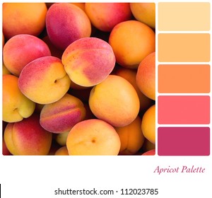 Apricot Background Colour Palette With Complimentary Swatches.