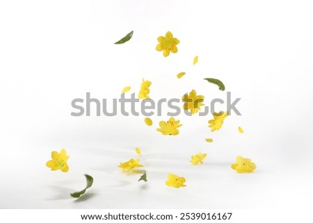 Similar – Image, Stock Photo yellow flowers in a crevice