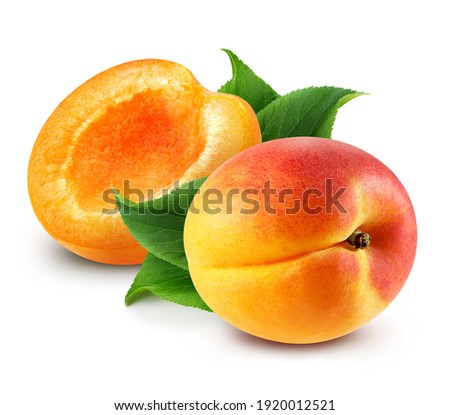 Apricot. Fresh organic apricot with leaves isolated on white background. Apricot with clipping path