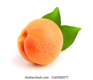 Orange Abricot High Res Stock Images Shutterstock