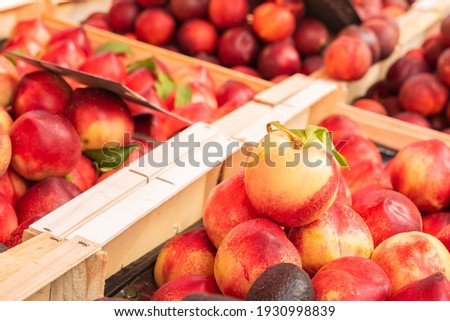 Apricot fruit on street foot market in Provence France