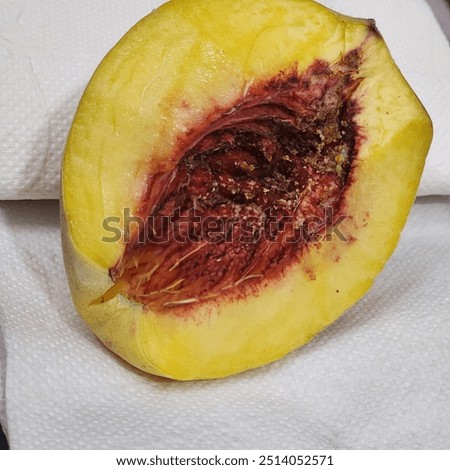 Apricot
Apricot Inner Structure
An apricot kernel is the apricot seed located within the fruit endocarp, which forms a hard shell around the seed called the pyrena (stone or pit).
