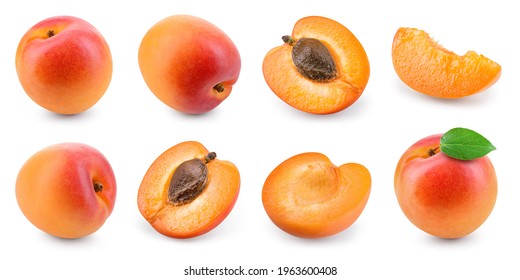Apricot isolated. Apricots on white. Whole, half, slice apricots with leaf. Apricot set. Full depth of field. 